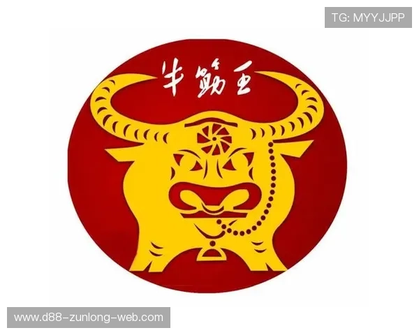 尊龙凯时入口用户隐私保护措施，保障玩家个人信息安全的详细说明